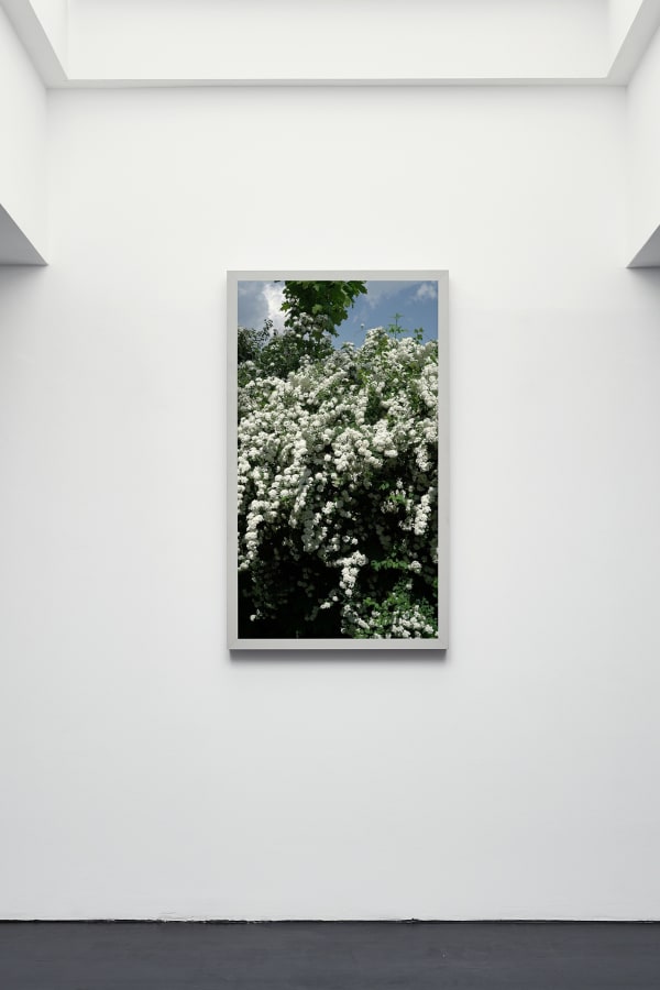 2019 05 11 Choi And Lager 26