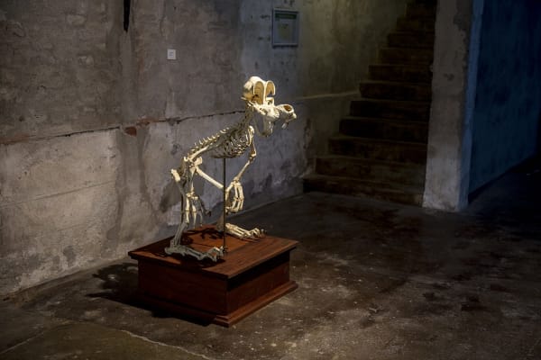 30 Busanport Ansten Vestfossen2016 150Dpi