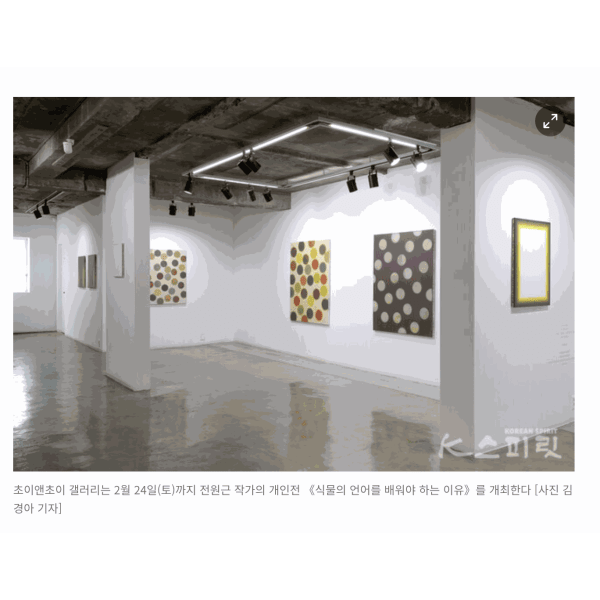 한 획의 붓질이 마르기까지, 전원근 개인전《식물의 언어를 배워야 하는 이유》