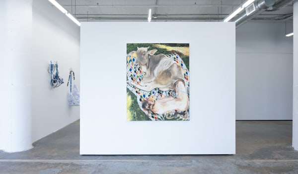 Intheshadow Install1