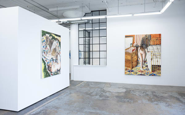 Intheshadow Install4