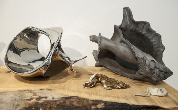 Nature Of Things Table Install1