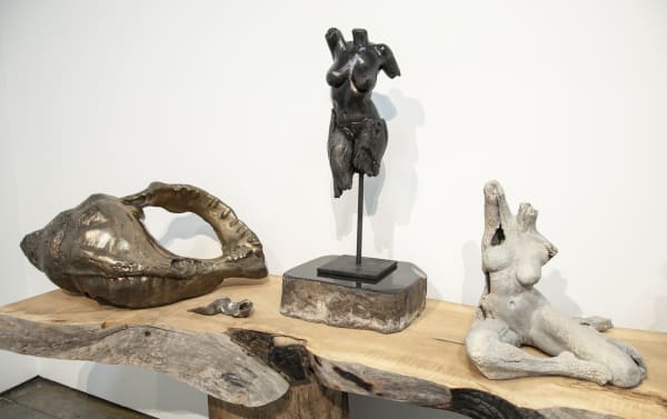 Nature Of Things Table Install4