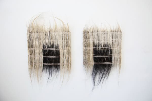 Horsehair Tapestries Edit