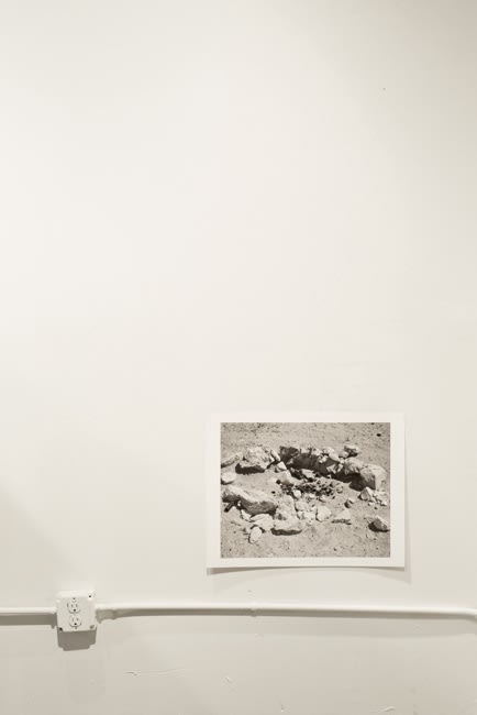 Dasding Wildingcran 150131 007