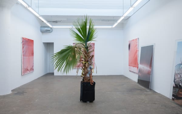 Jeremy Everett TacocaT