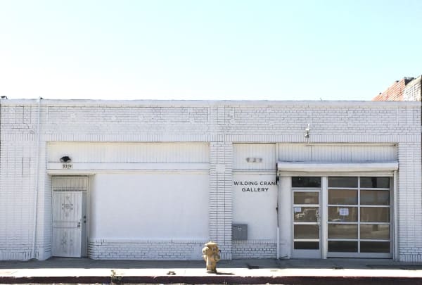 Wilding Cran Joins Downtown L.A. Gallery Complex
