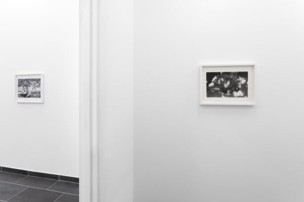 Signe Ralkov Hold Still Installtion View 2025 15