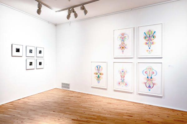 Anu Ramdas at Museet for Religiøs Kunst, Lemvig (DK)