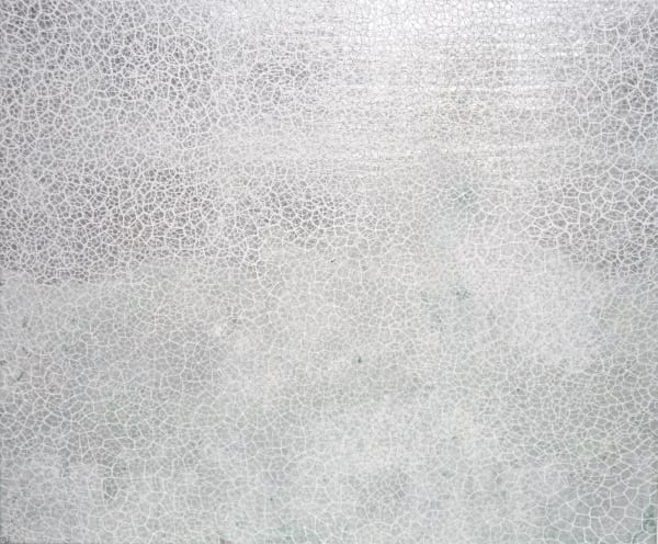 Salt Fog Light, 2024