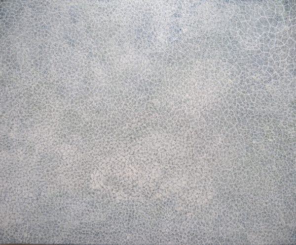 All Brightness and Light, 2024