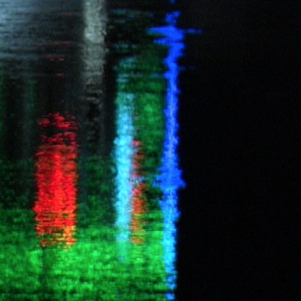 Sodium Halogen Mercury, 2009