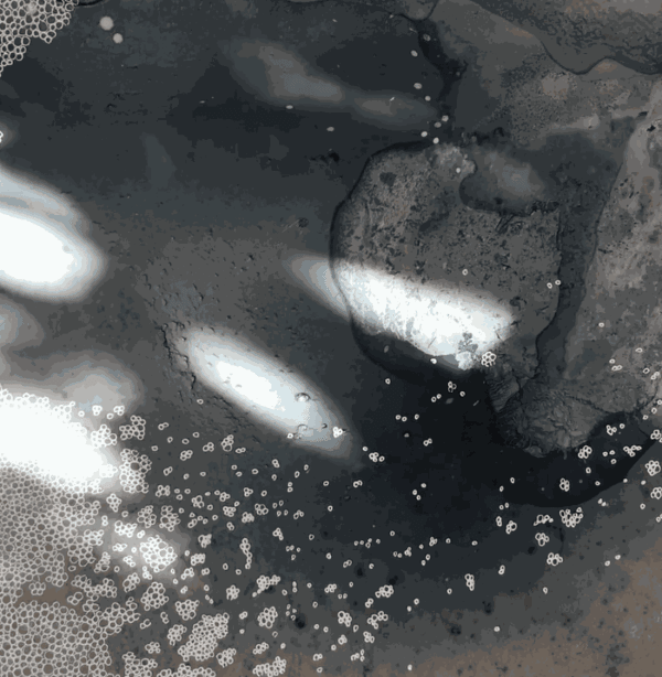 Treading Water, 2021