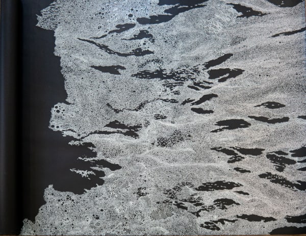 CONFLUENCE Northlight Gallery