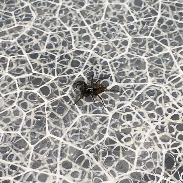 Time is a thickening mist, a complex web