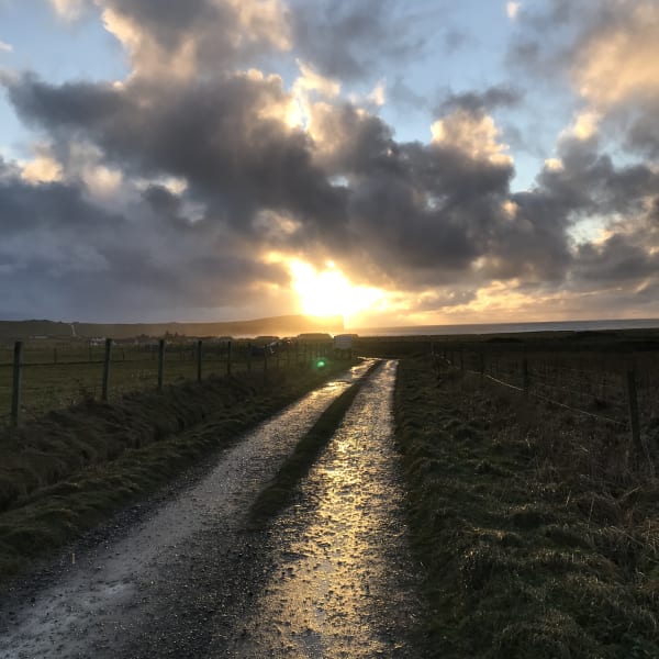 Never again this sun, this world