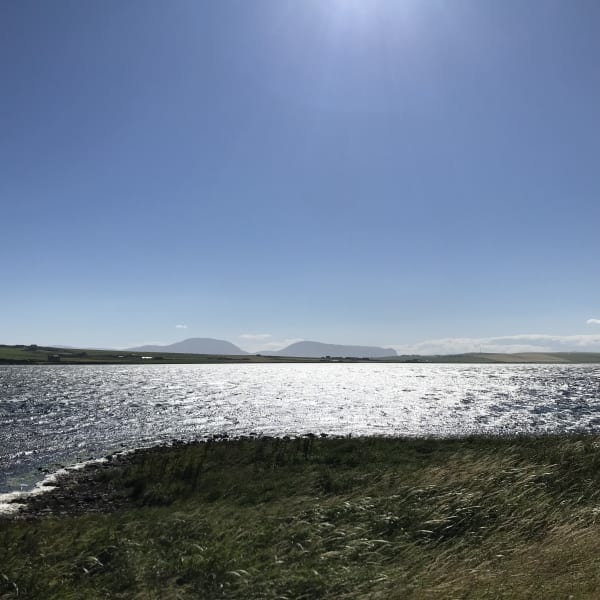 This gorgeous, shimmering world