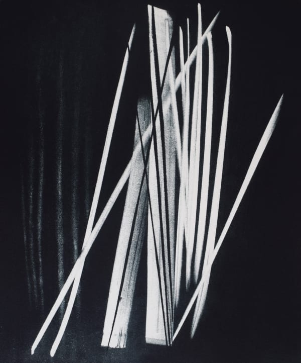 HANS HARTUNG