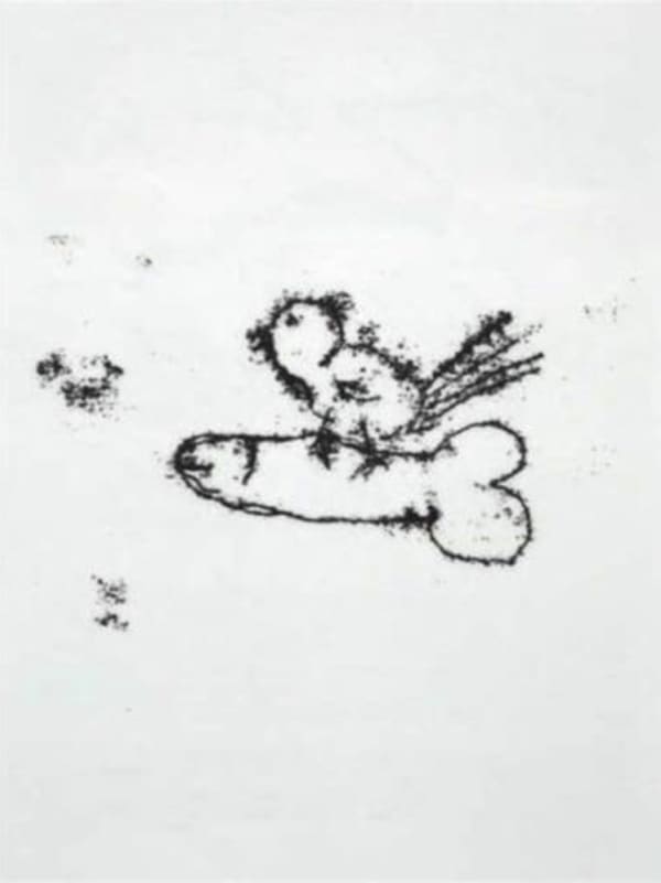 Tracey Emin, Singing Bird, 2007