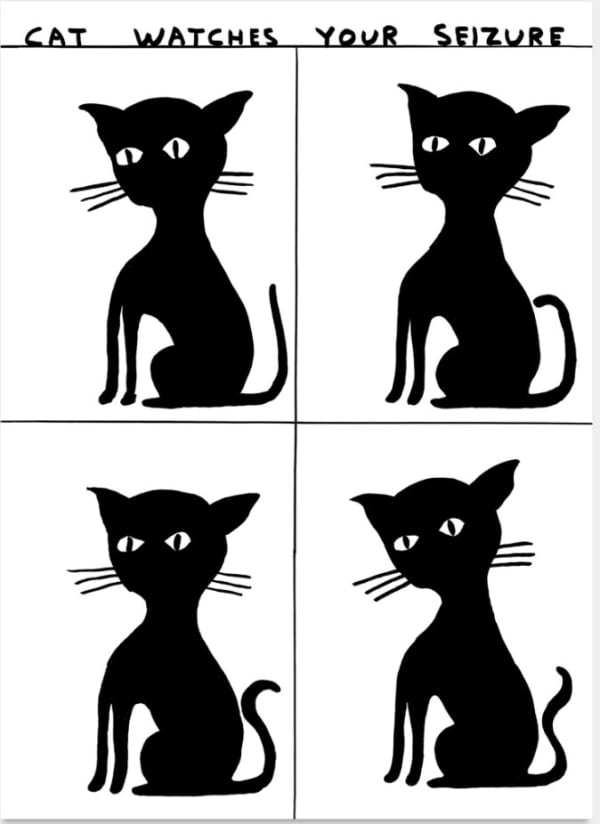 David Shrigley Cat Watches Your Seizure
