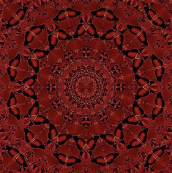 Damien Hirst, Suiko - The Empresses - H10-4, 2022