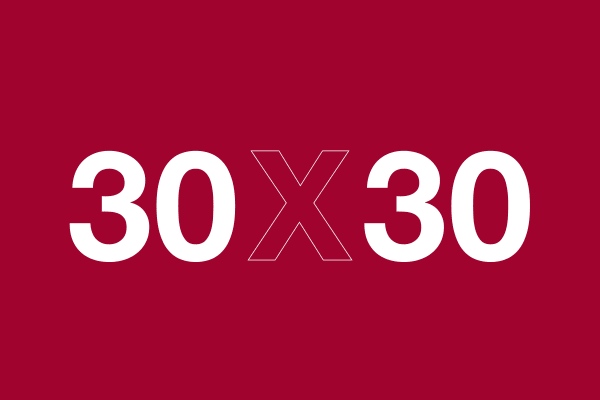 30 x 30