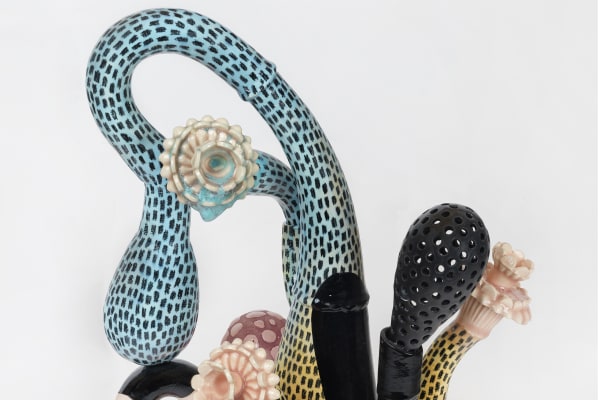 JLG Projects, Megan Bogonovich: Fertile Ground