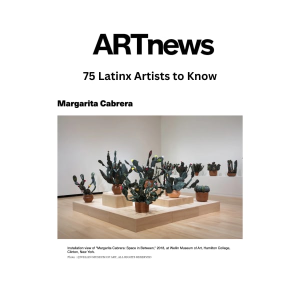 Installation view of "Margarita Cabrera: Space in Between," 2018, at Wellin Museum of Art, Hamilton College, Clinton, New York.