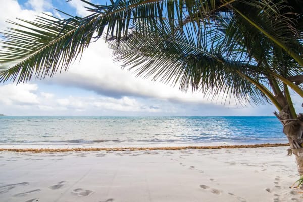 Seaview from property