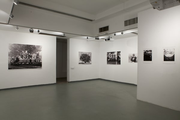 installation view