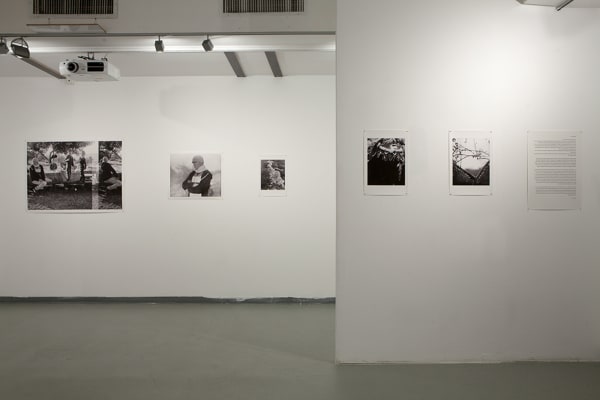installation view