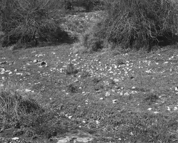 Beit Keshet [#2] (After Eli-Ben-Zvi), 2020