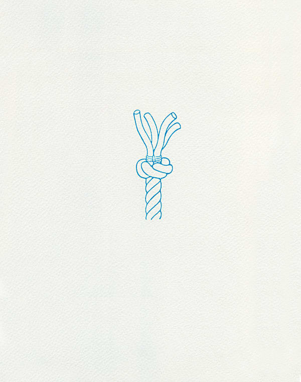 Marine knot [#8]