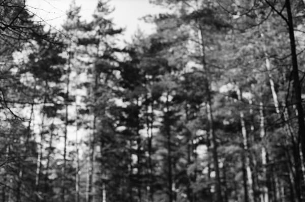 Looking at the sky can be sometimes confusing [Treblinka]