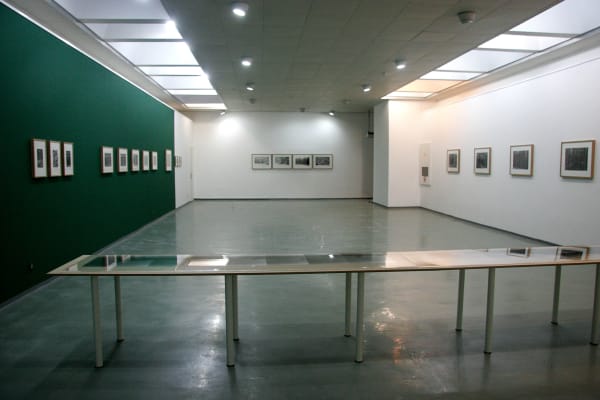 Black and White Forest:  Two Journeys to Treblinka The Ghetto Fighters' House -  Itzhak Katzenelson Holocaust and Jewish  Resistance Heritage Museum,  Kibbutz Lohamei Hagheta'ot Gallery Curator: Evelin Akherman