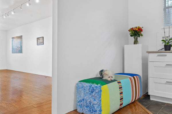 Installation view, Audrey Rodriguez: Tastes of Home, 2023. McLennon Pen Co. Gallery, Austin