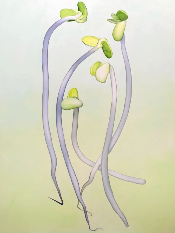 Isabel Lu, Soy Sprouts