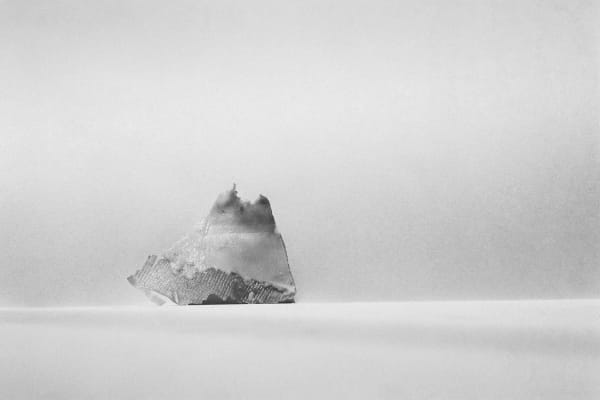 Ali Tnani, It Has Never Been To Survive, 2017