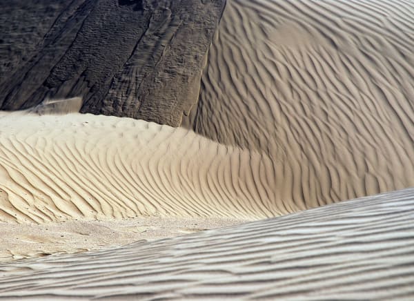 Lamia Naji, Are you there V, 2008