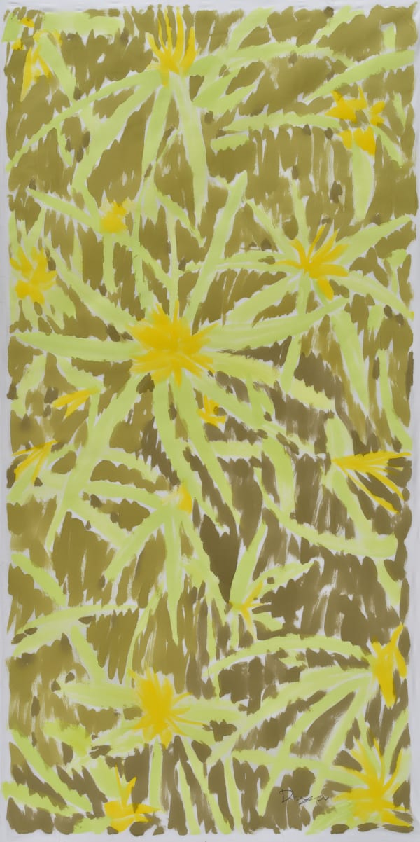 150 X 75 5Cm 2022 500