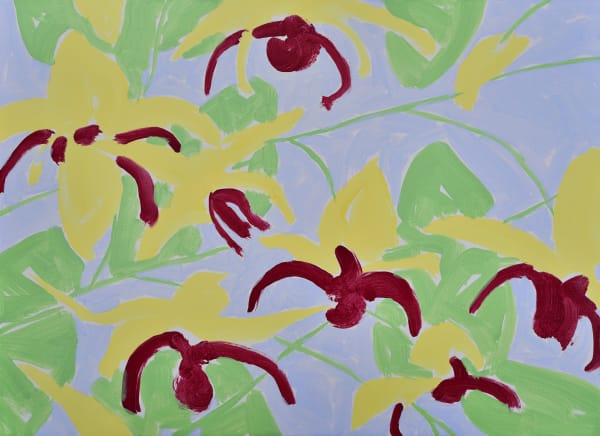 53 X 72 7Cm 2023 360