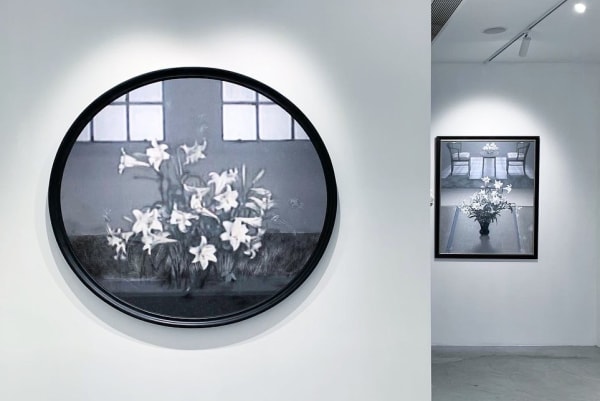 21C5974A 0036 4C48 Ab8A B2Ab4F0216Ab