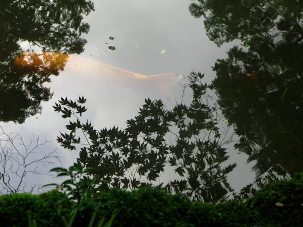 Anne Babe Days Gone By 06 Photograph 2009