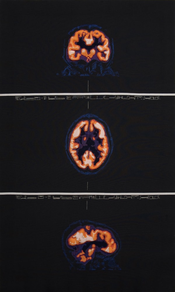 Jiang Didi Petct Image Wire Cloth 100X60Cm 2007 Black Lowres