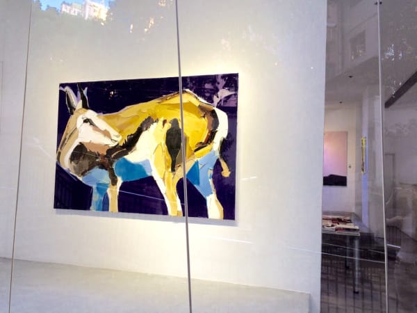 In the Box There’s a Goat Eating Coloured Pants Martin Wehmer Solo Exhibition