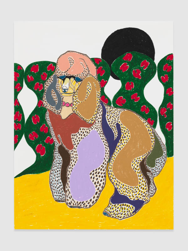 Susumu Kamijo THE VISITOR, 2019 Pastel, pencil & oil pastel on paper (framed)