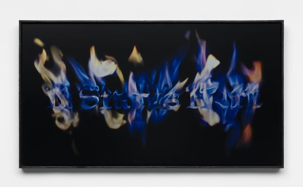Léo Luccioni It starts here - "Tinder", 2021 Dye-sublimation print on ChromaLuxe aluminum panel, artist frame (burnt wood finish) 47 x 87 x 4.5 cm. 18 x 34 x 2 in.