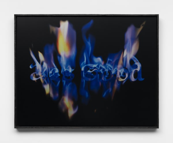 Léo Luccioni Yes Good - "Amazon", 2021 Dye-sublimation print on ChromaLuxe aluminum panel, artist frame (burnt wood finish) 47 x 60 x 4.5 cm. 18 x 23 x 2 in.