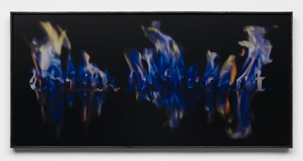 Léo Luccioni Think Different. - "Apple", 2021 Dye-sublimation print on ChromaLuxe aluminum panel, artist frame (burnt wood finish) 47 x 97 x 4.5 cm. 18 x 38 x 2 in.