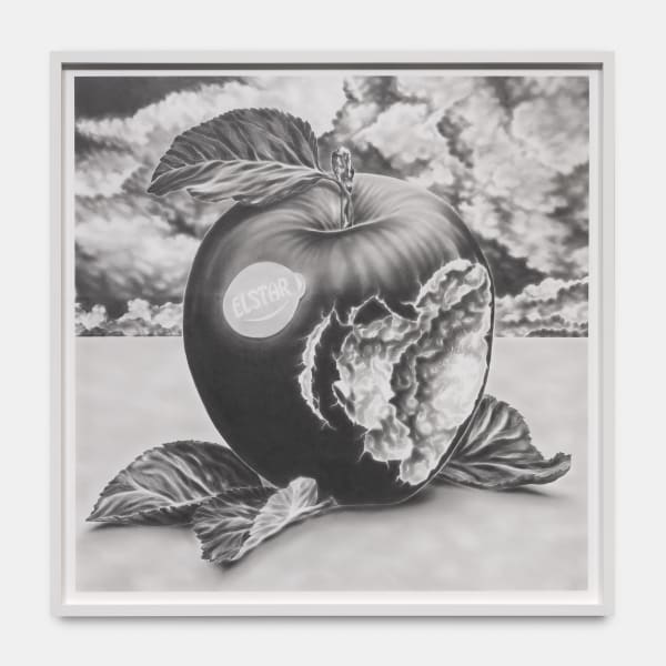 Léo Luccioni An Apple, 2021 Graphite and lead pencil on acid-free Canson paper 235 x 235 x 11 cm. 92 x 92 x 4 in.